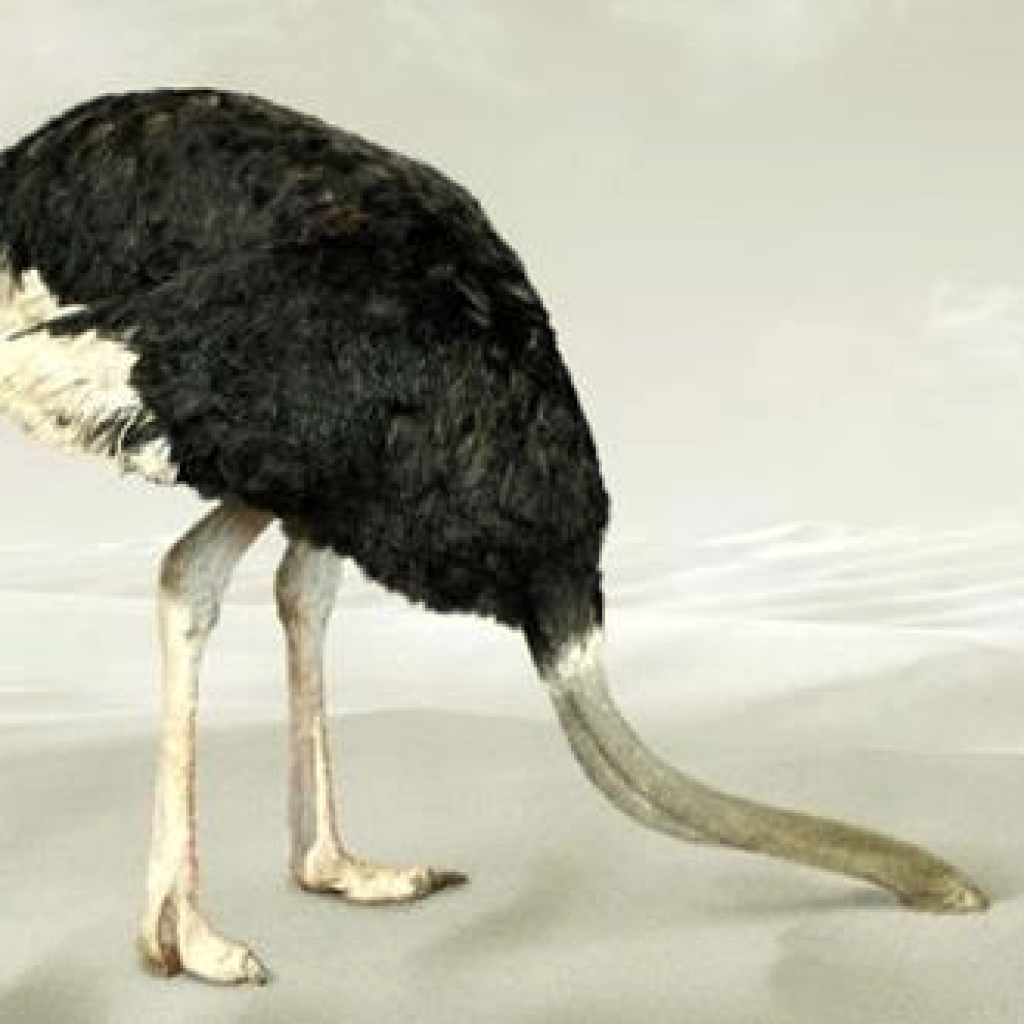 ostrich-head-in-sand-1024x1024.png